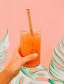 kombucha-pql3f39sppu6tc661m037lb0qg8unu6ddxan9tf2g4